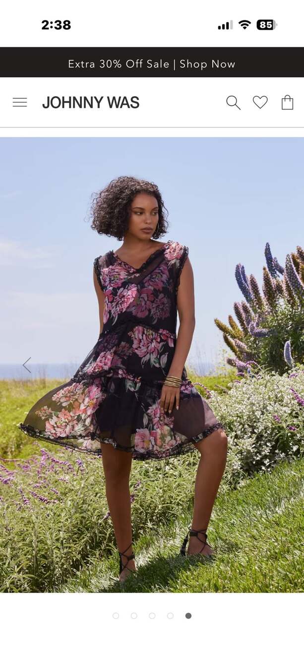 Johnny Was Perrie Ruffle Mini Dress Size S Sheer Silk Floral Tiered V Neck